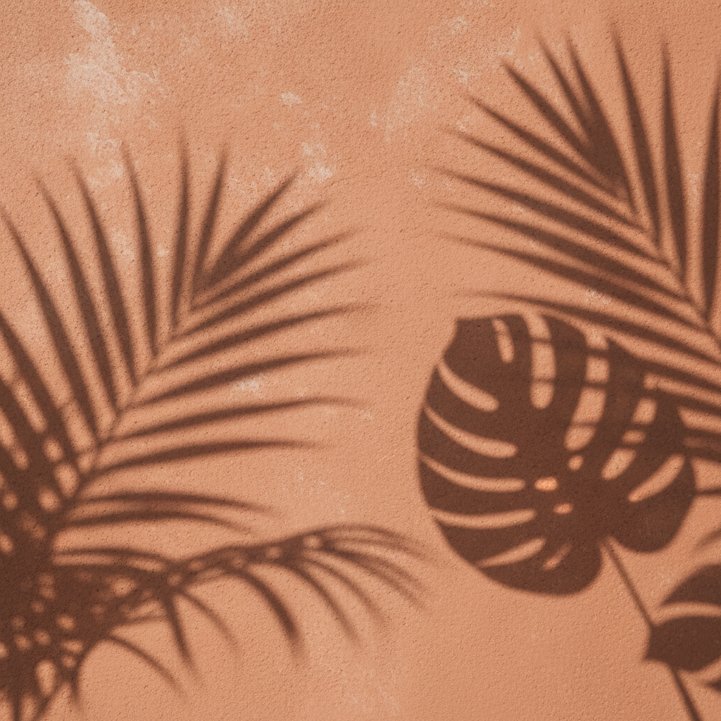 Fond terracotta ombres feuilles exotiques