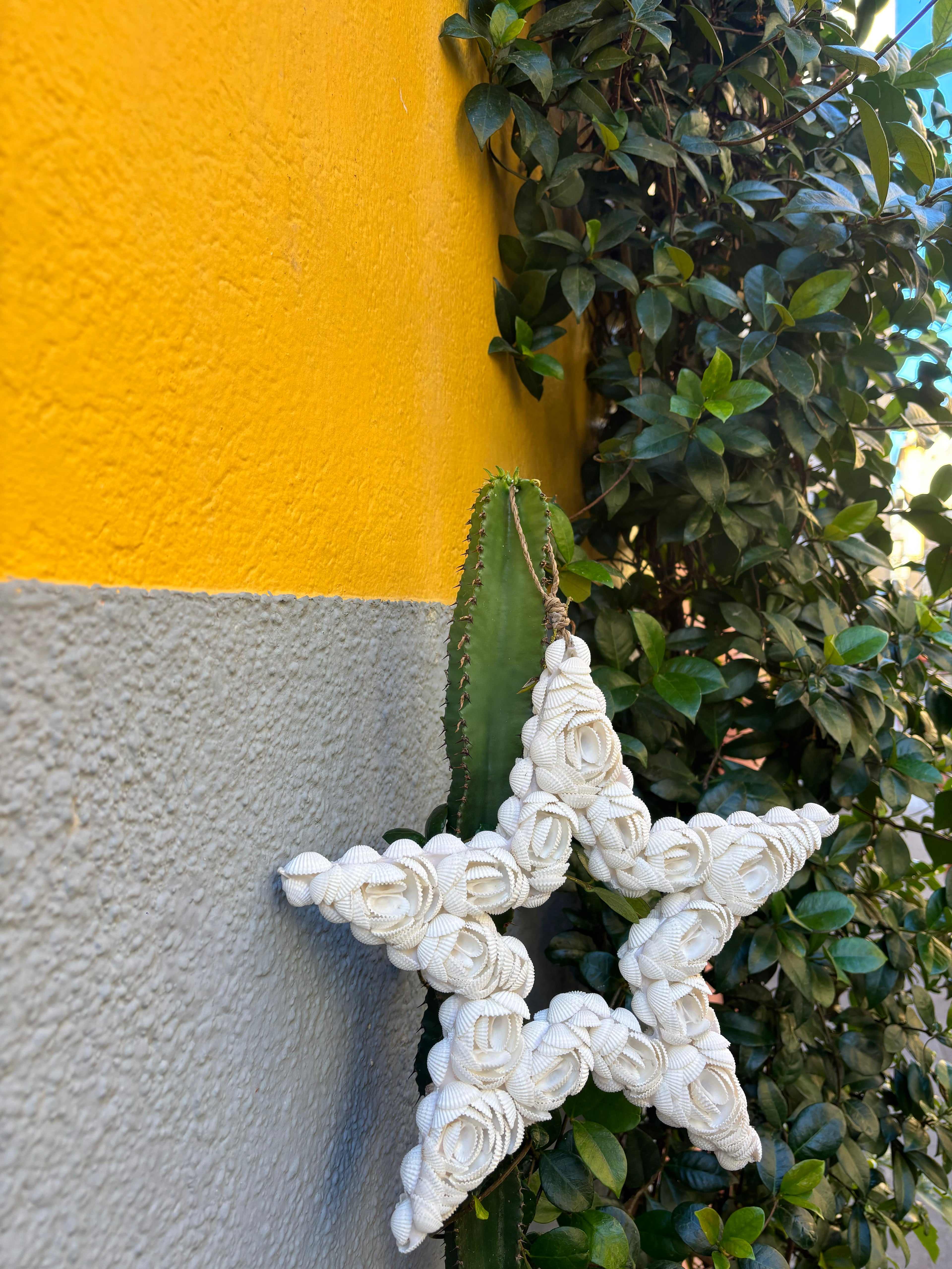 Etoile en coquillages