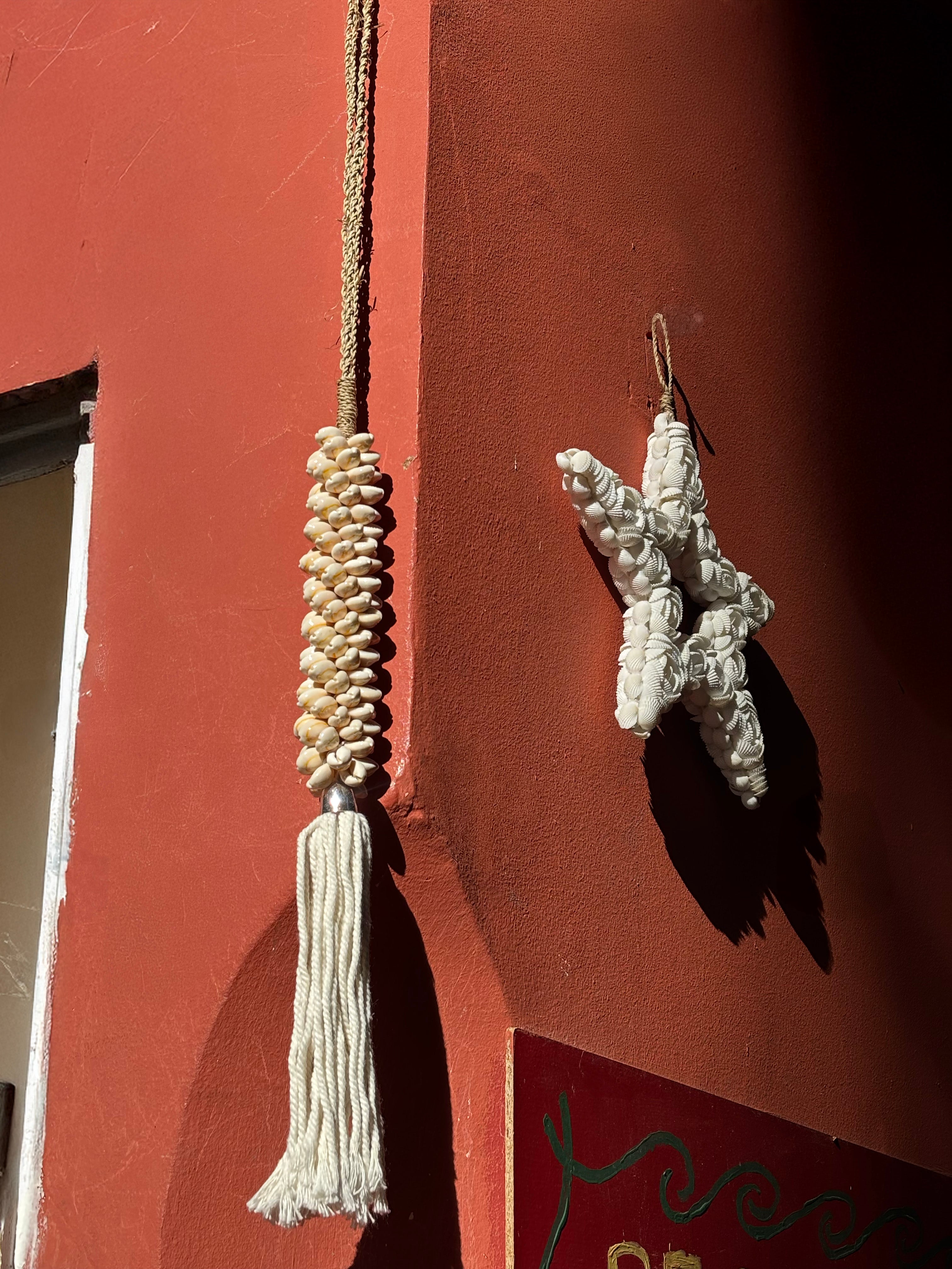 Etoile en coquillages