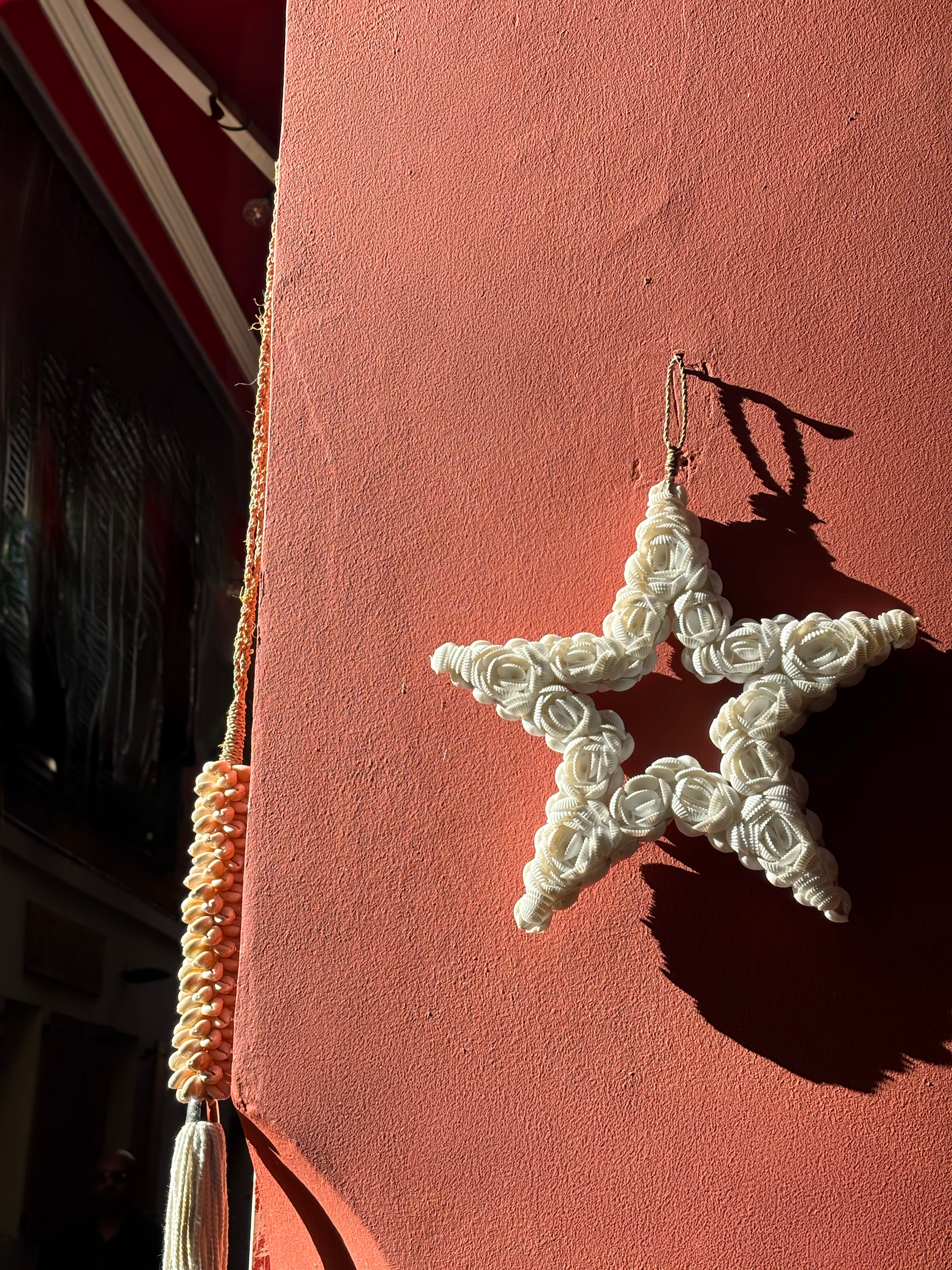 Etoile en coquillages