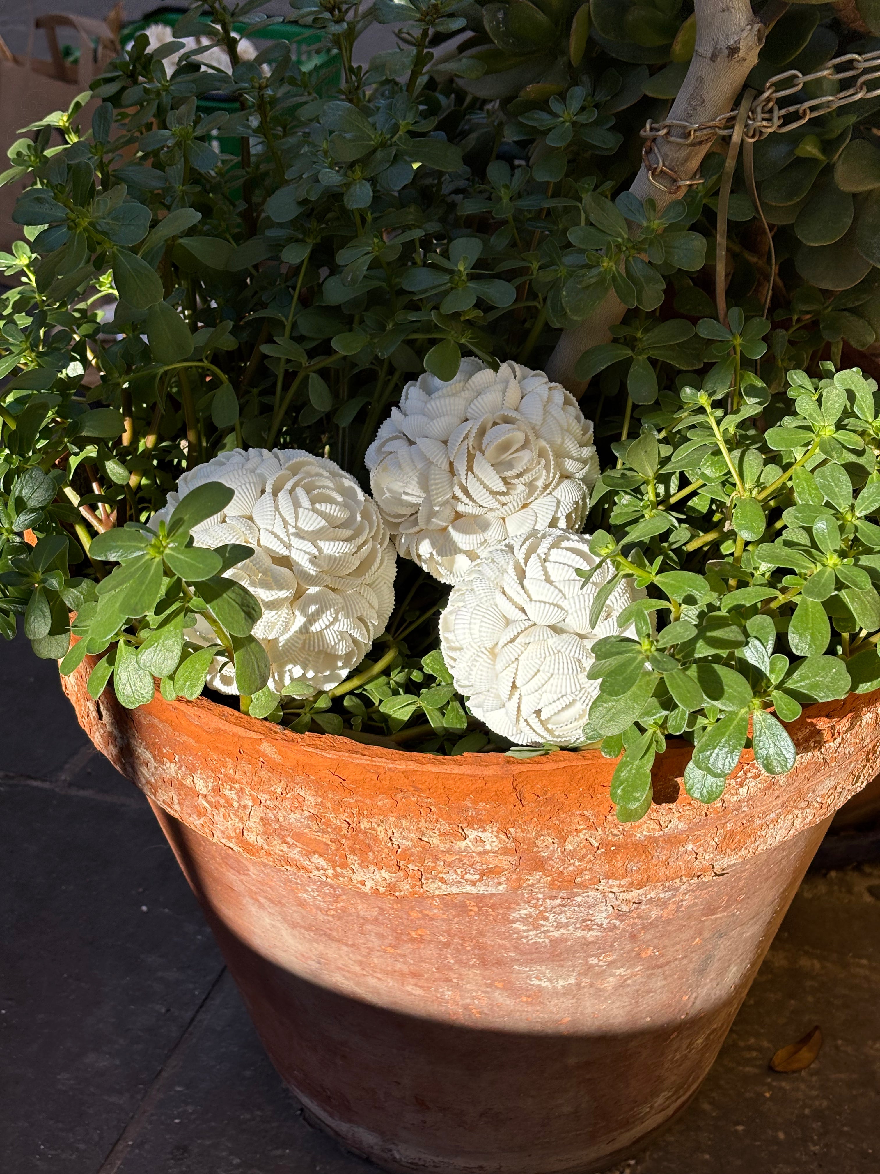 Boule en coquillages