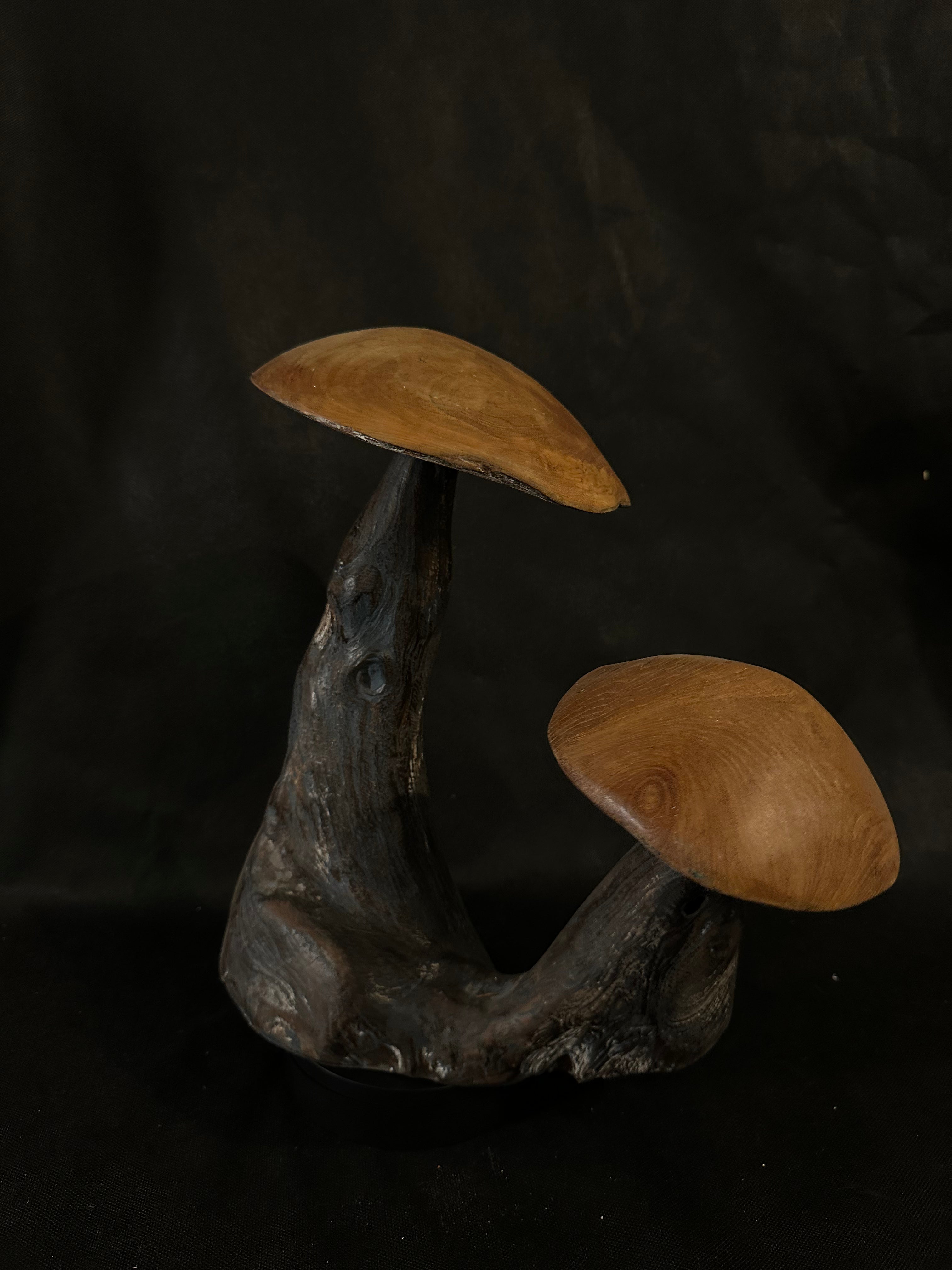 Double Champignons en bois de teck