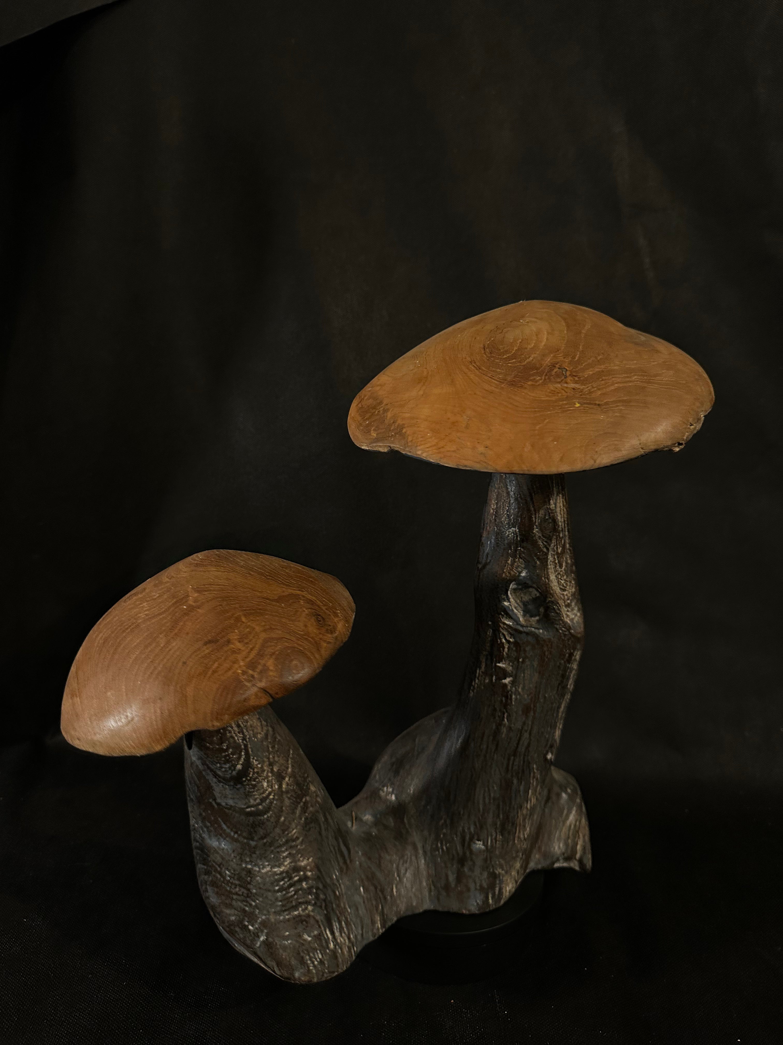 Double Champignons en bois de teck