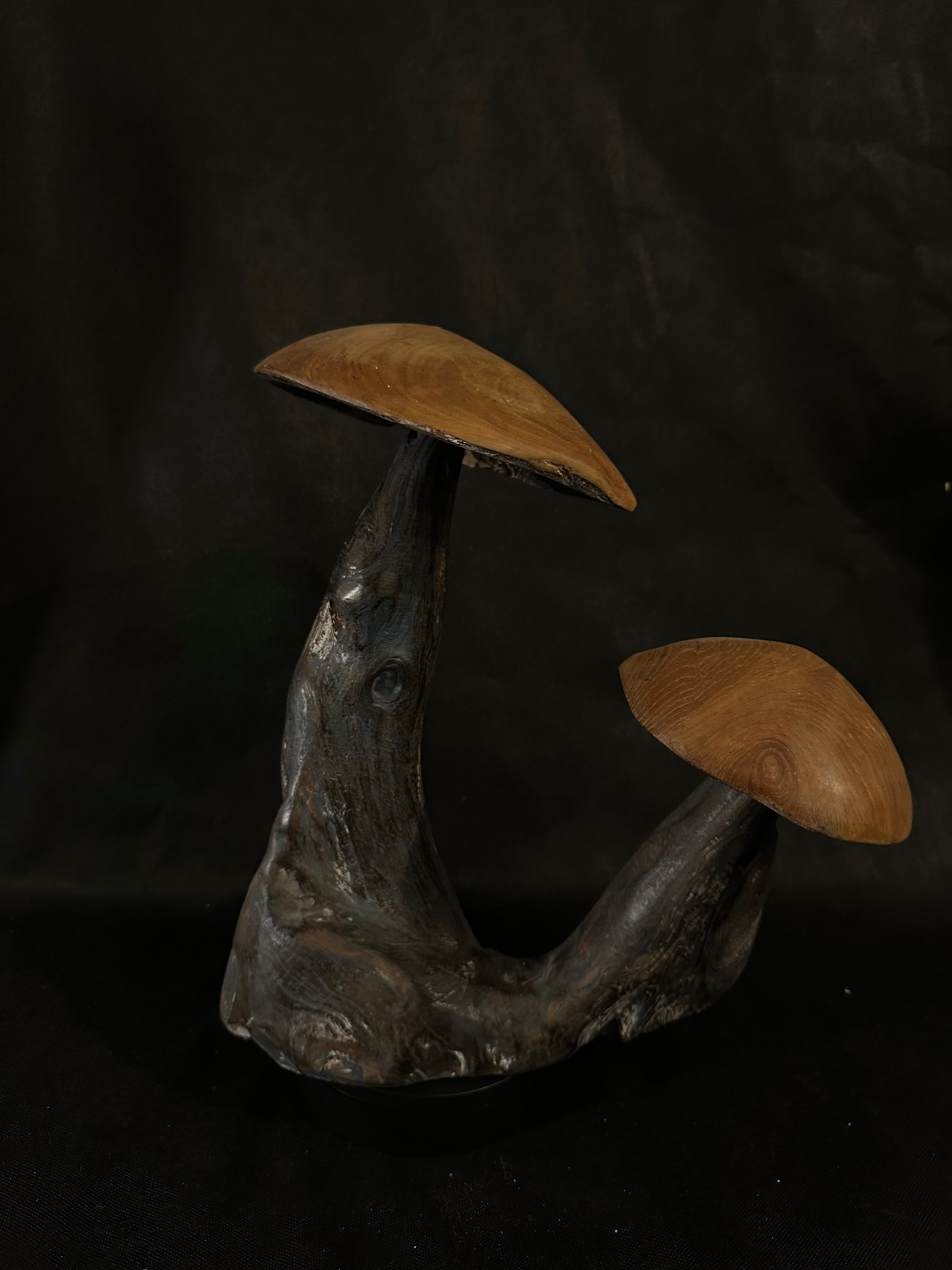 Double Champignons en bois de teck