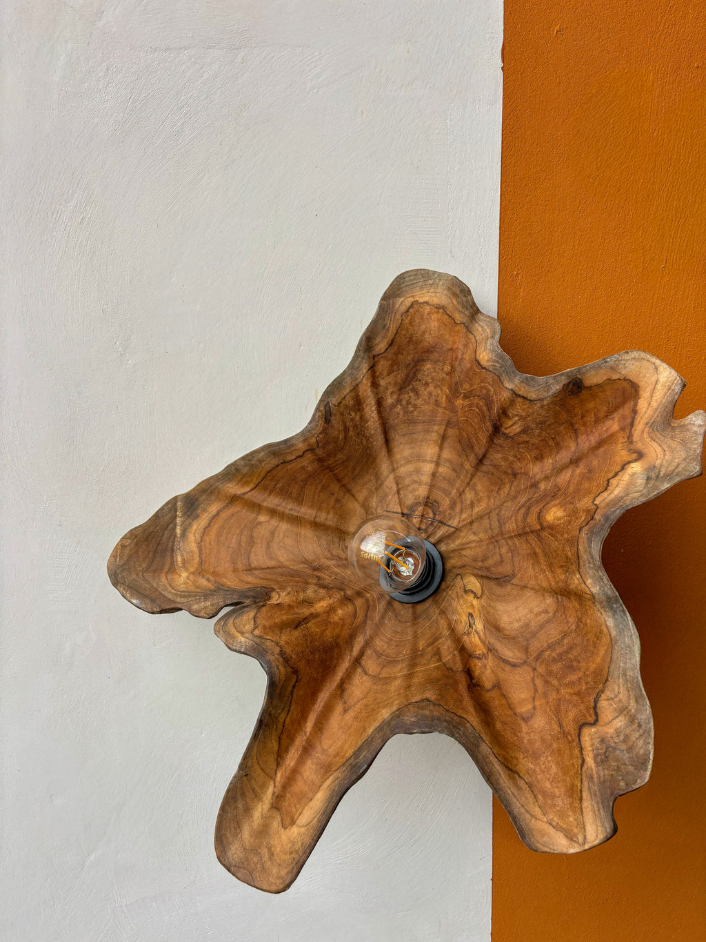 Luminaire plat en bois de teck