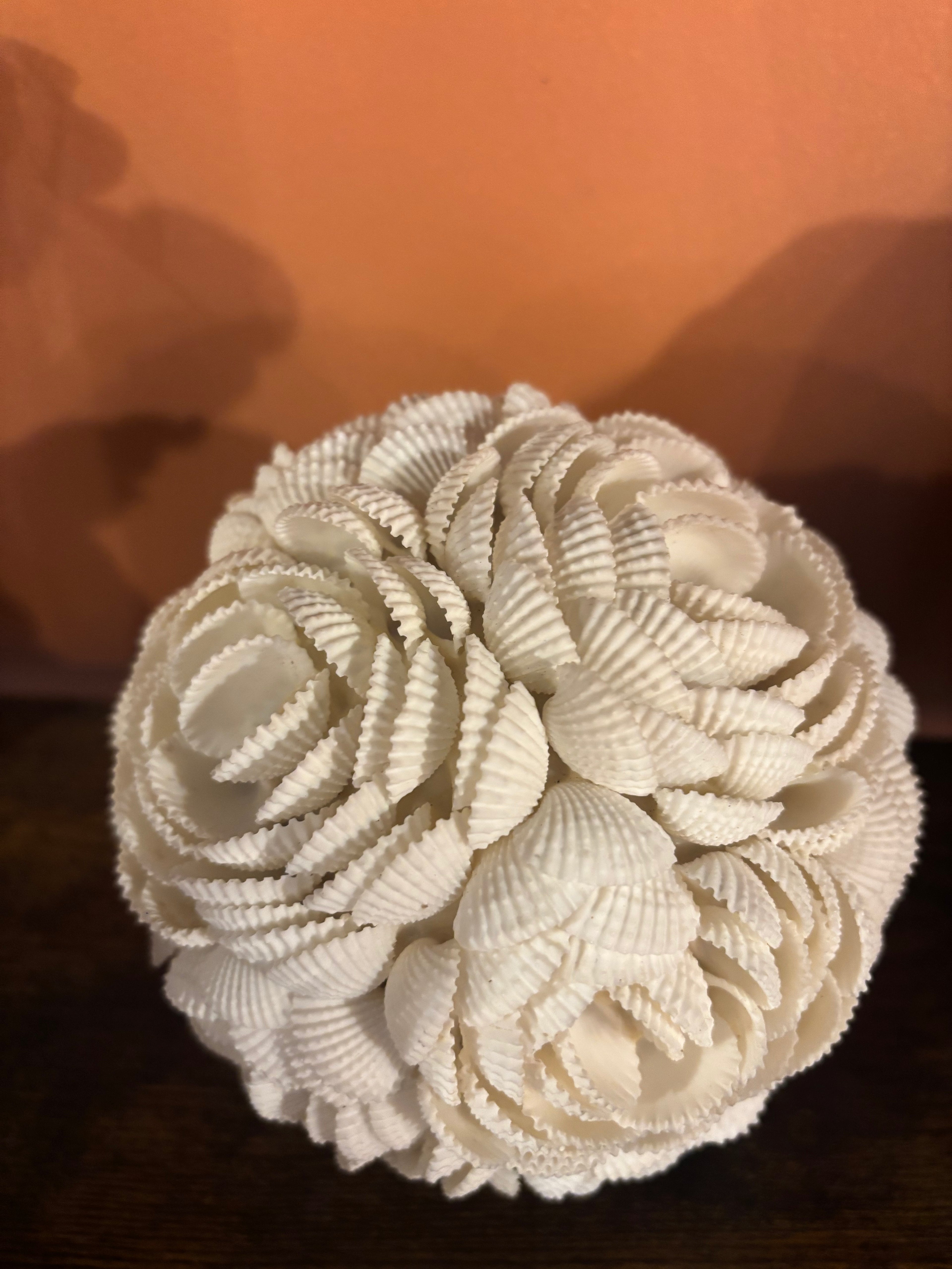 Boule en coquillages